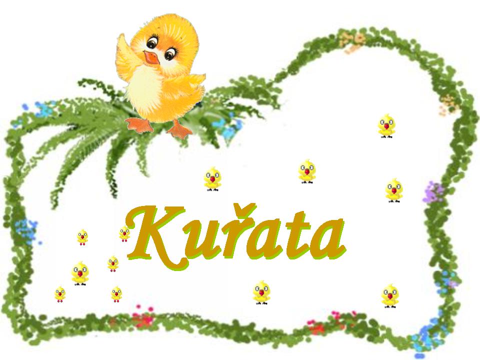 KUATA