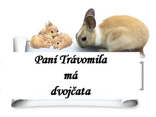 PAN TRVOMILA