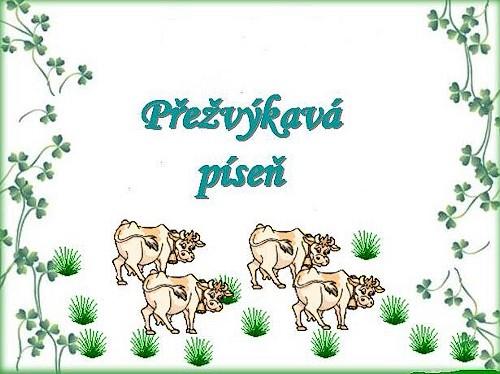 PEVKAV