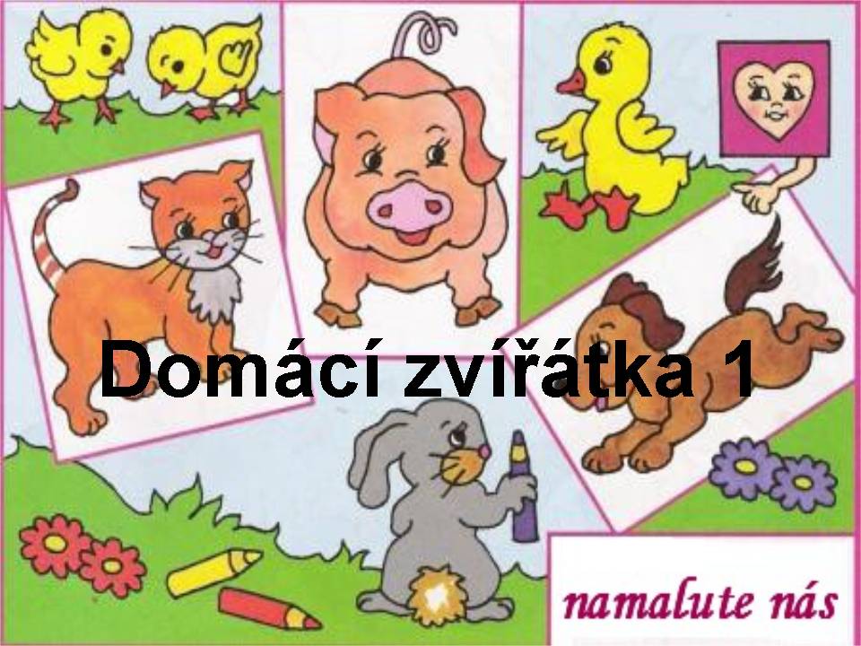 DOMC ZVTKA 1