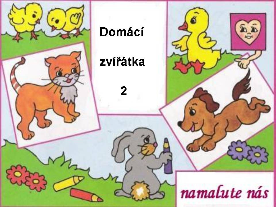 DOMC ZVTKA 2