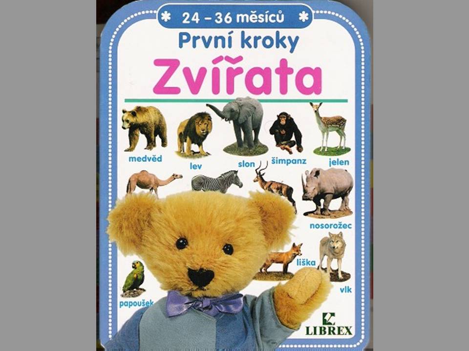 PRVN KROKY